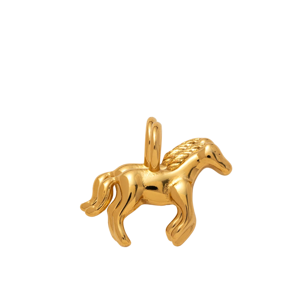 CHARM CAVALLO
