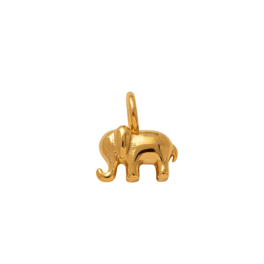 CHARM ELEFANTE
